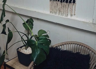 Cozy seating at Nails and Beauty by Ashleigh in Boksburg, Gauteng, ZA with a lush plant.