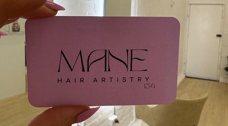 Mane Hair Artistry 134, bilde 3