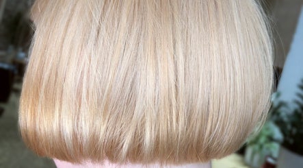 Kennedy Rough Hair  image 3