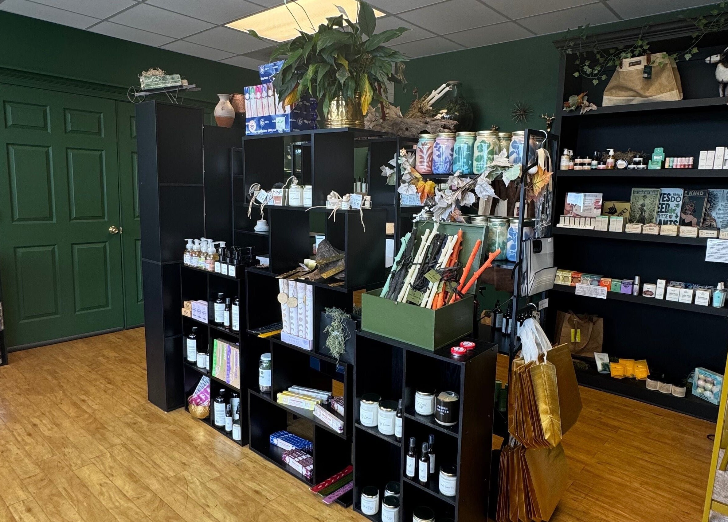 Chic product display at Brow Babes GA in Gainesville, Georgia, US featuring beauty and wellness items.
