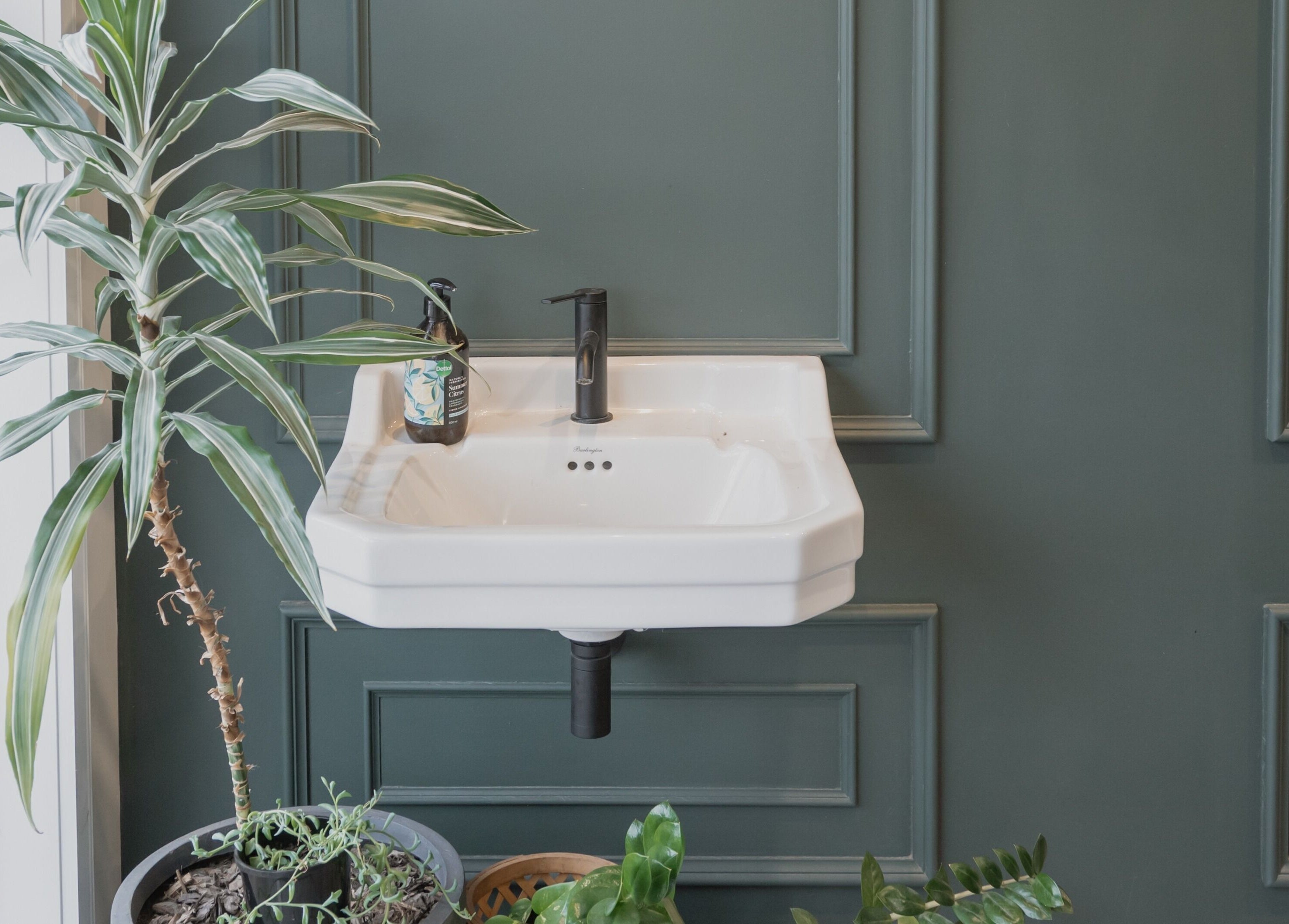 Chic sink with greenery at Scarlet Hair Studio, Tauranga, Bay of Plenty, NZ for a refreshing atmosphere.