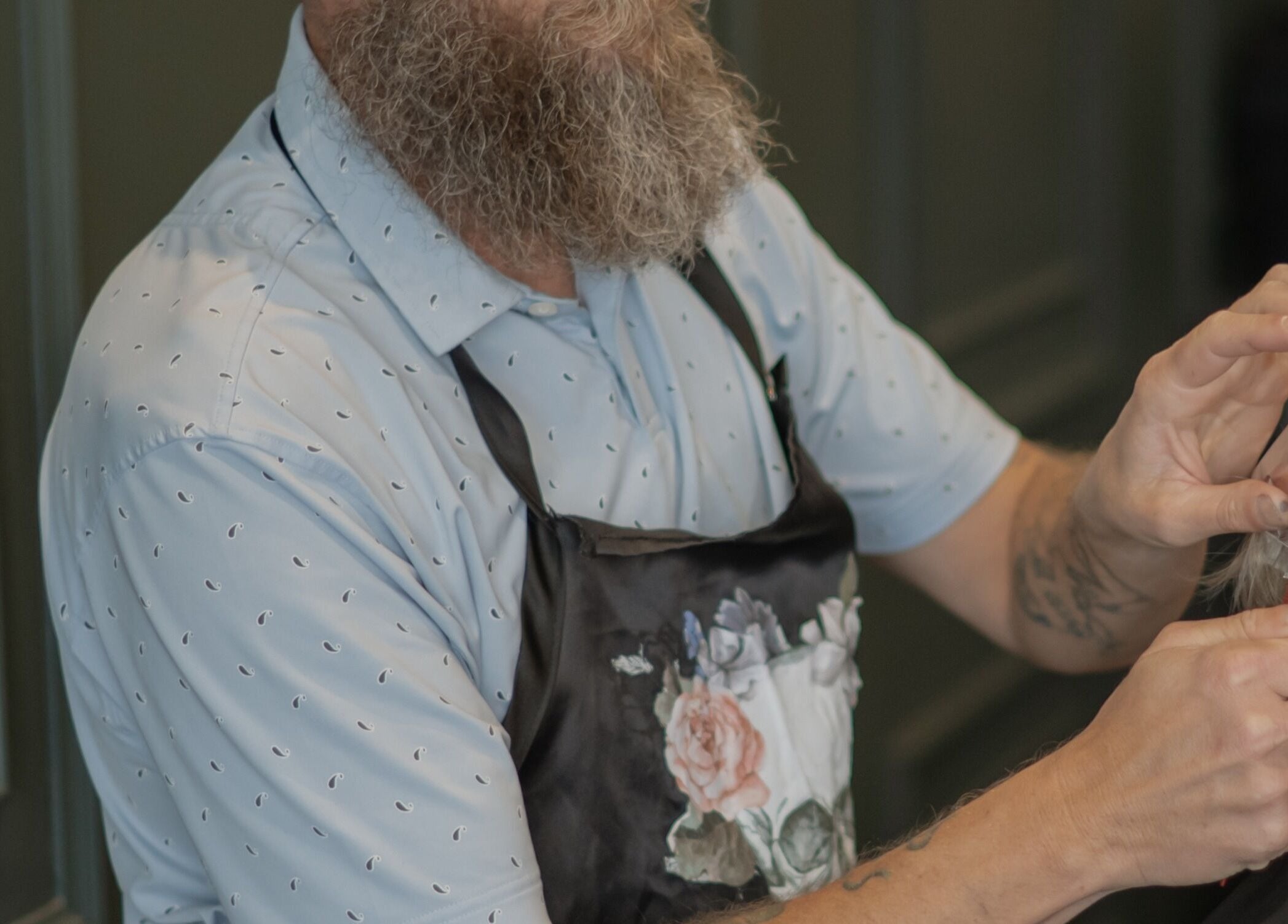 Stylist expertly applying highlights at Scarlet Hair Studio, Tauranga, Bay of Plenty, NZ.