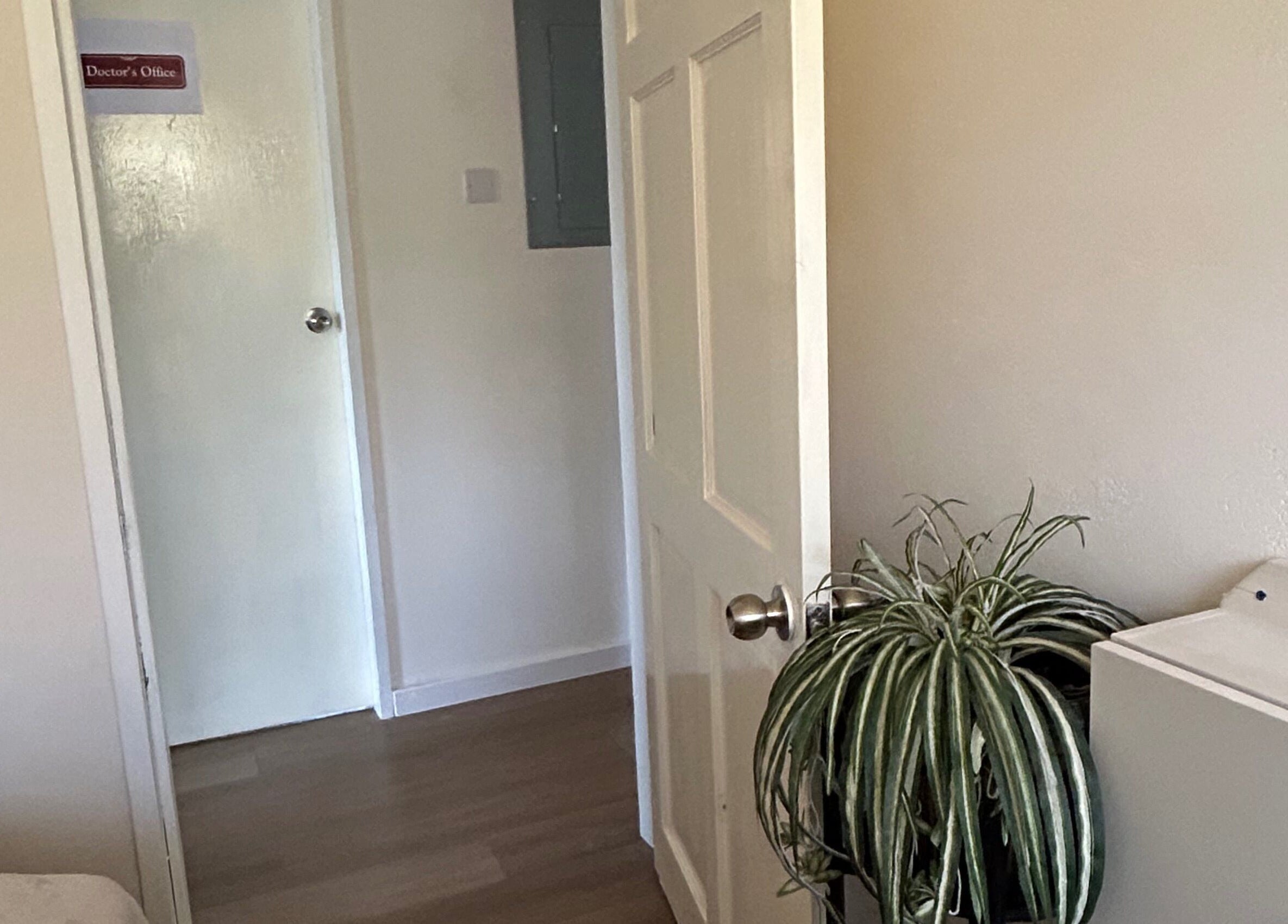 An inviting hallway at Solitude Esthetics in Oistins, Christ Church, BB, featuring a potted plant and closed doors.