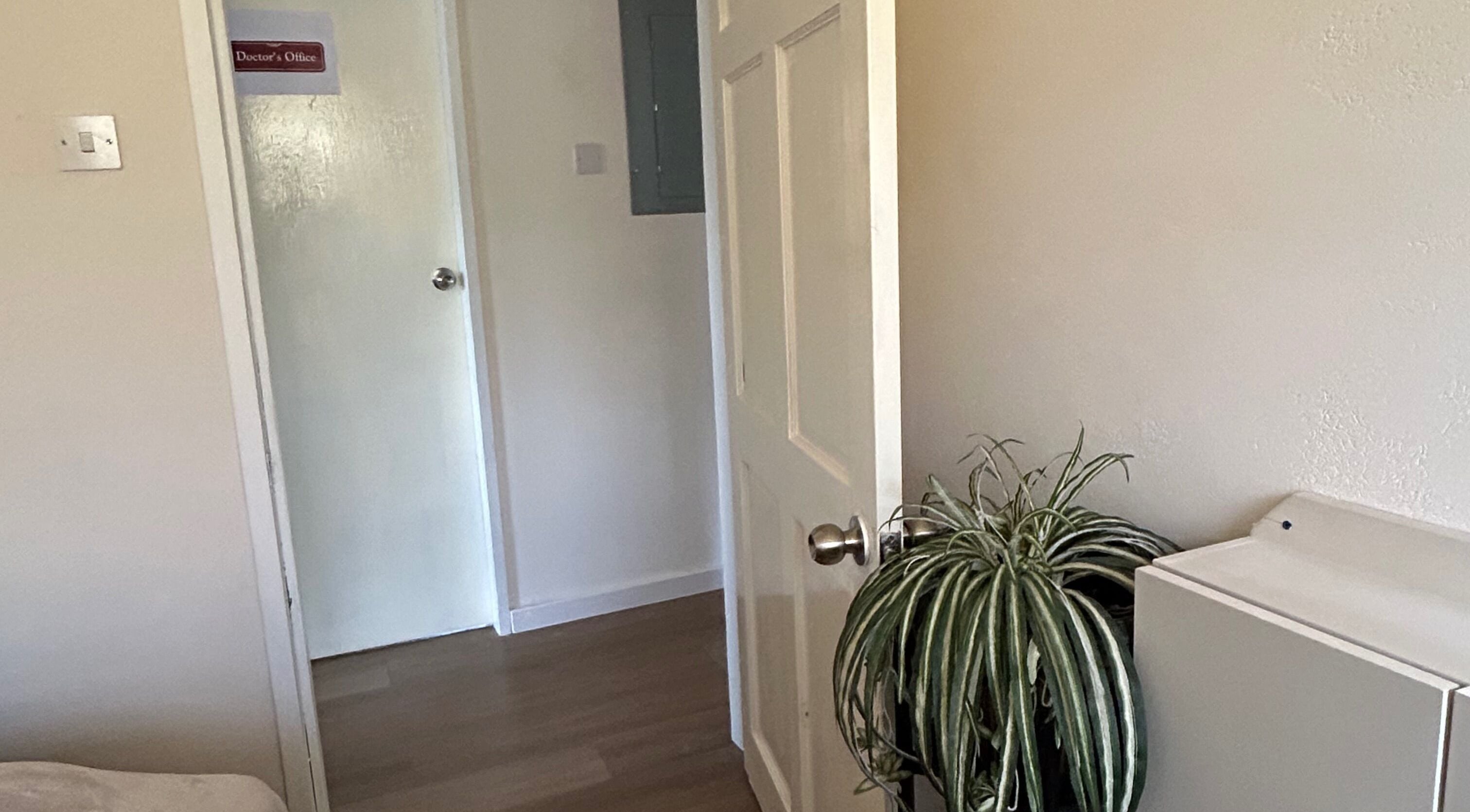 An inviting hallway at Solitude Esthetics in Oistins, Christ Church, BB, featuring a potted plant and closed doors.