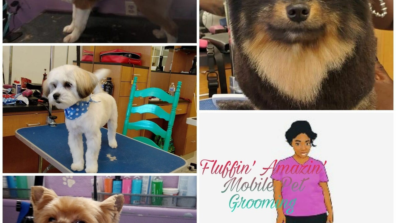 Mobile Pet Grooming Houston Mobile Groomer In Your Home In Houston