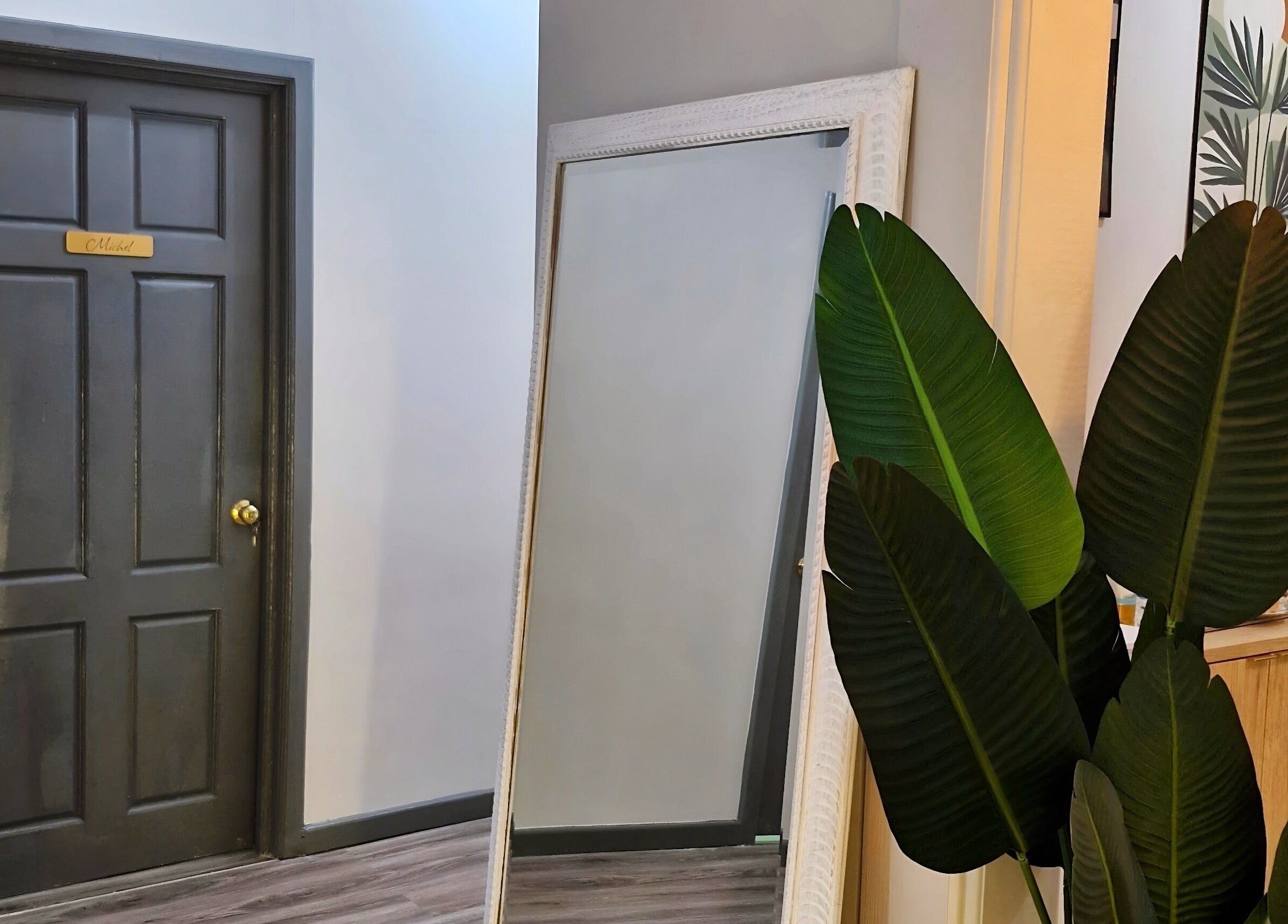 Elegant entry at SkinFirst Esthetics & Academy, La Tourney, Vieux Fort, LC featuring a door and indoor plant.