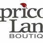 KekeVanB Original Fairy Hair at Apricot Lane - Lake Nona - 13887 Narcoossee Road, Lake Nona Region, Orlando, Florida