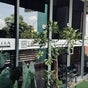 Tanamera Spa Kemaman Arked - Jalan Sulaimani, b10 BANGUNAN ARKED MARA, Kampung Dusun Nyior, Chukai, Terengganu