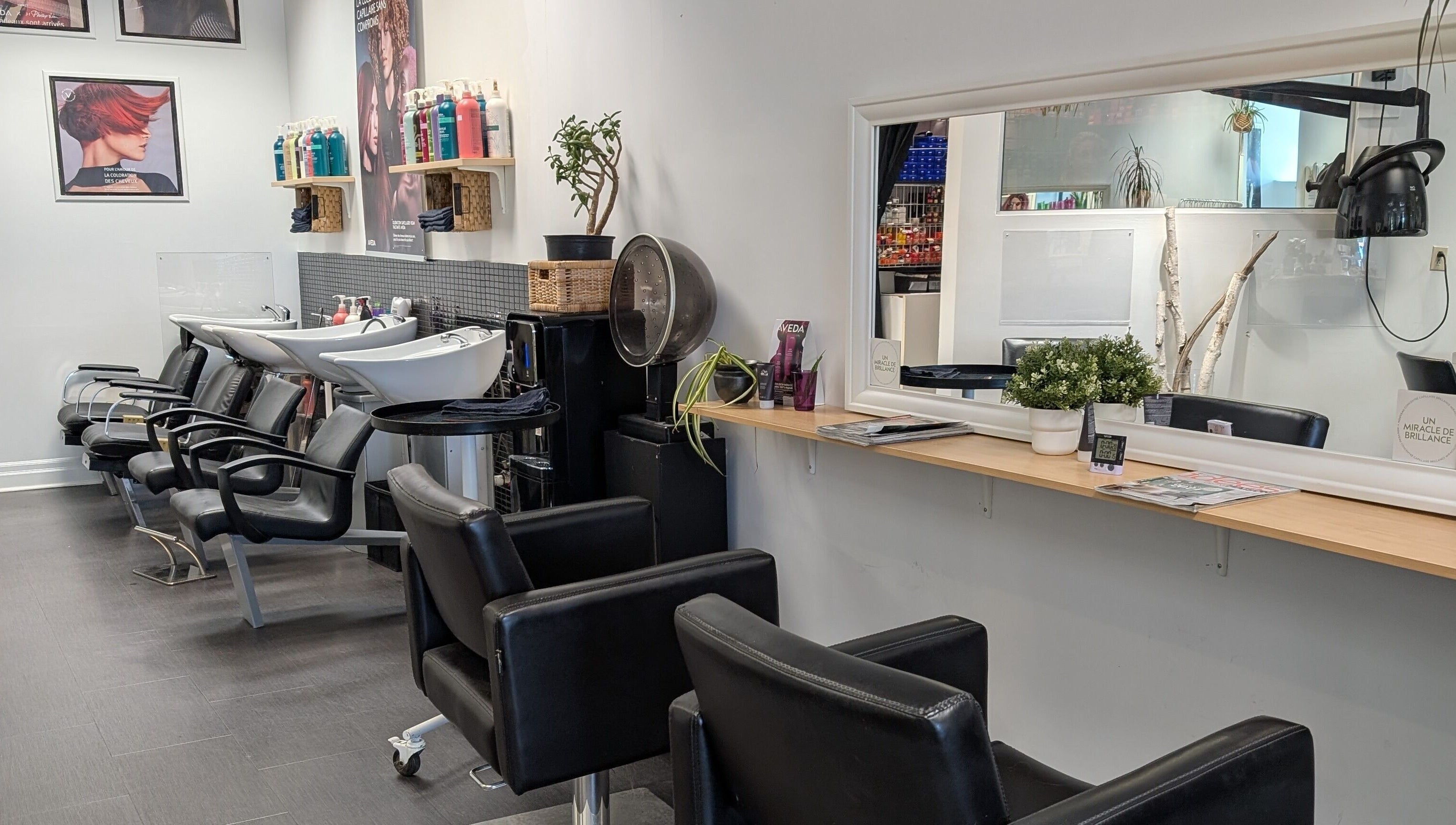 Modern salon interior at Espace Coiffure Botanik, Saint-Bruno-de-Montarville, Québec, CA with stylish chairs and decor.