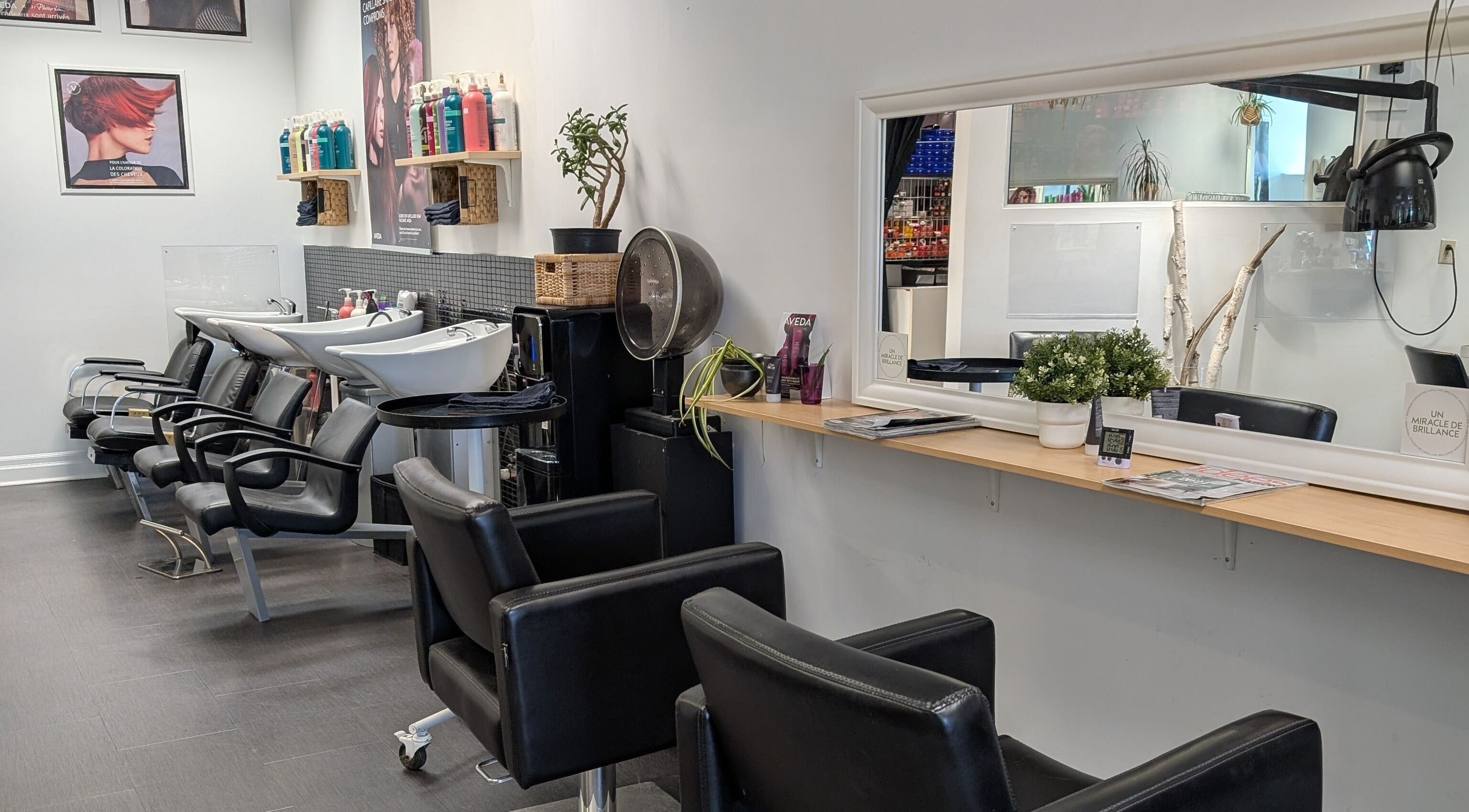 Modern salon interior at Espace Coiffure Botanik, Saint-Bruno-de-Montarville, Québec, CA with stylish chairs and decor.