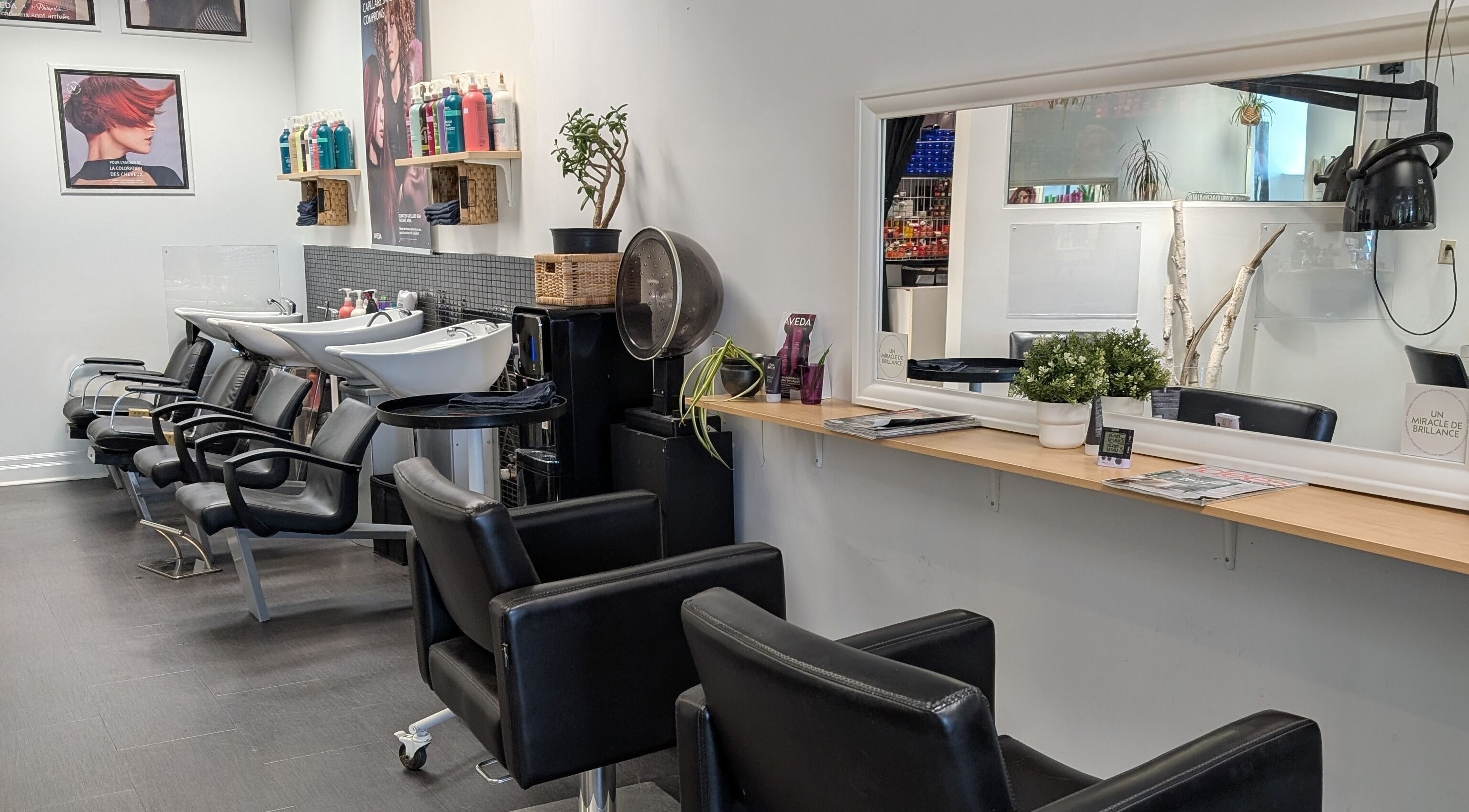 Modern salon interior at Espace Coiffure Botanik, Saint-Bruno-de-Montarville, Québec, CA with stylish chairs and decor.