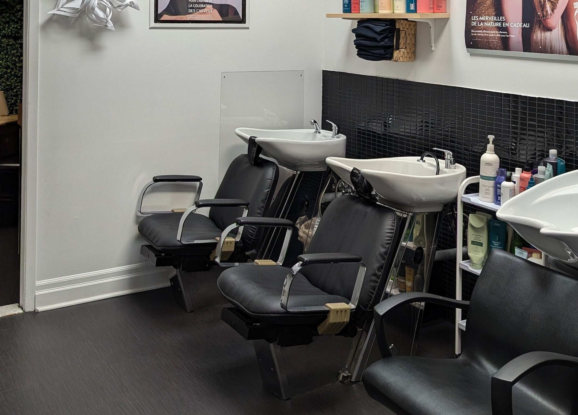 Chic wash stations at Espace Coiffure Botanik in Saint-Bruno-de-Montarville, Québec, CA offering modern amenities.