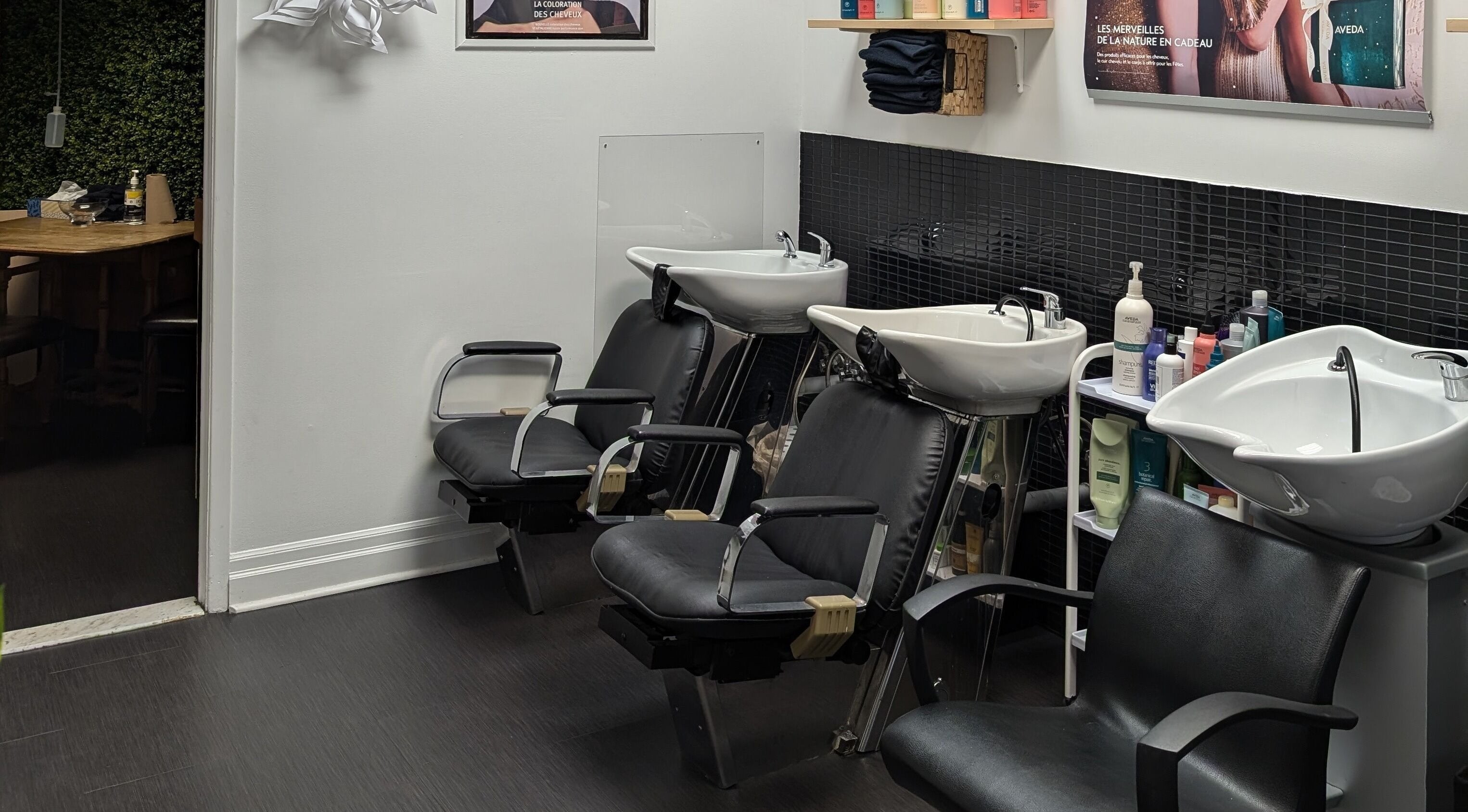 Chic wash stations at Espace Coiffure Botanik in Saint-Bruno-de-Montarville, Québec, CA offering modern amenities.