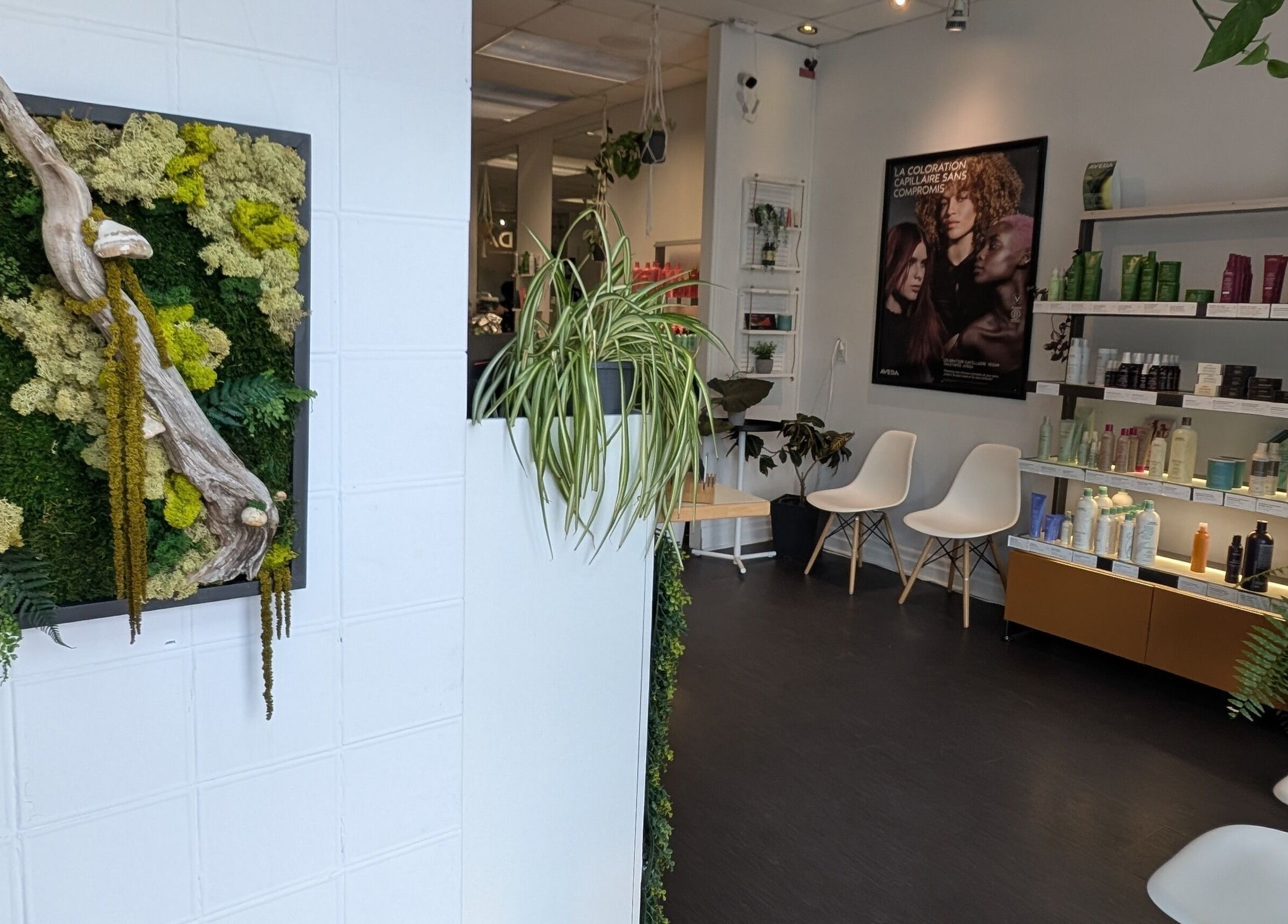 Espace Coiffure Botanik's modern interior with lush plants in Saint-Bruno-de-Montarville, Québec, CA.