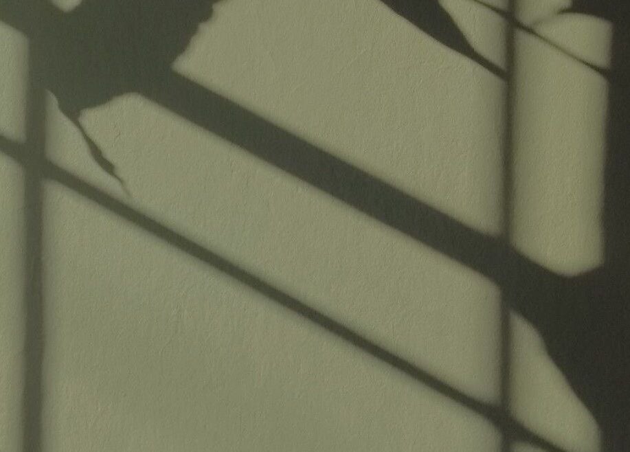 Soft plant shadows cast on a wall at Exhayl, Epsom, England, GB, creating a tranquil ambiance.