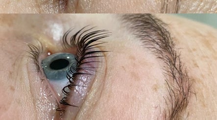 Jungle Lashes & Brows image 2