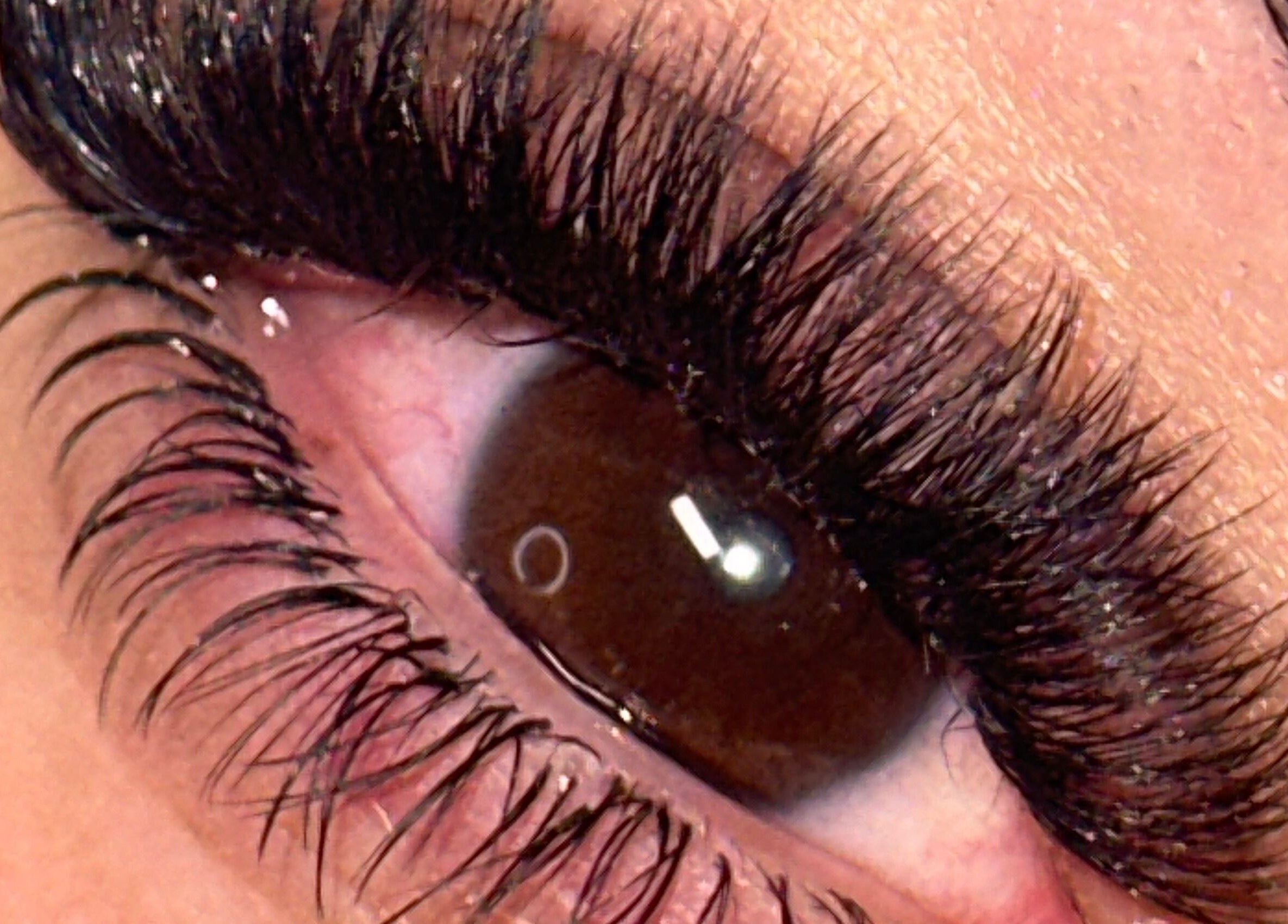 Close-up of stunning eyelashes, Cheshmak Studio, Nollamara, Western Australia, AU.