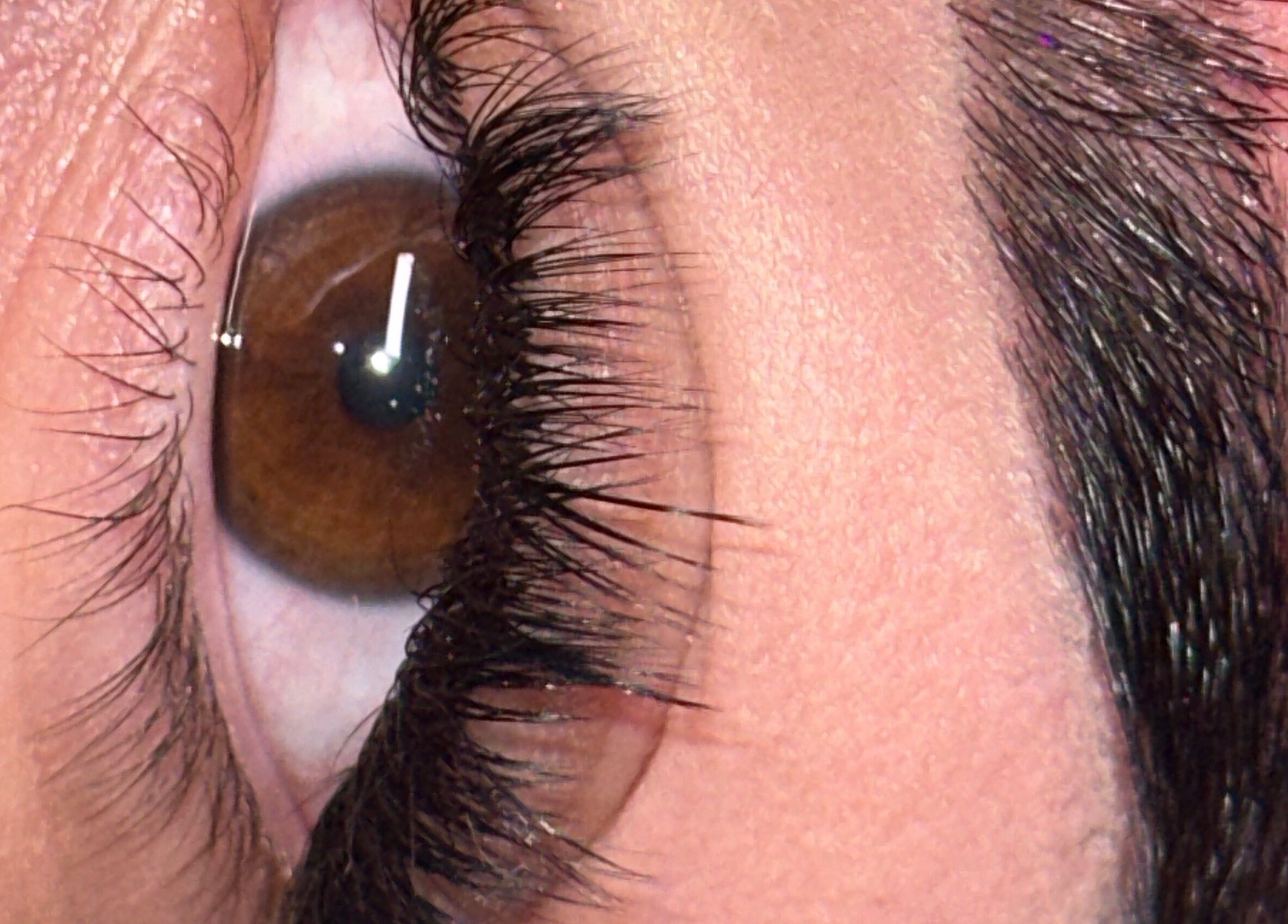 Close-up of expertly groomed eyebrow and lashes at Cheshmak Studio, Nollamara, Western Australia, AU.
