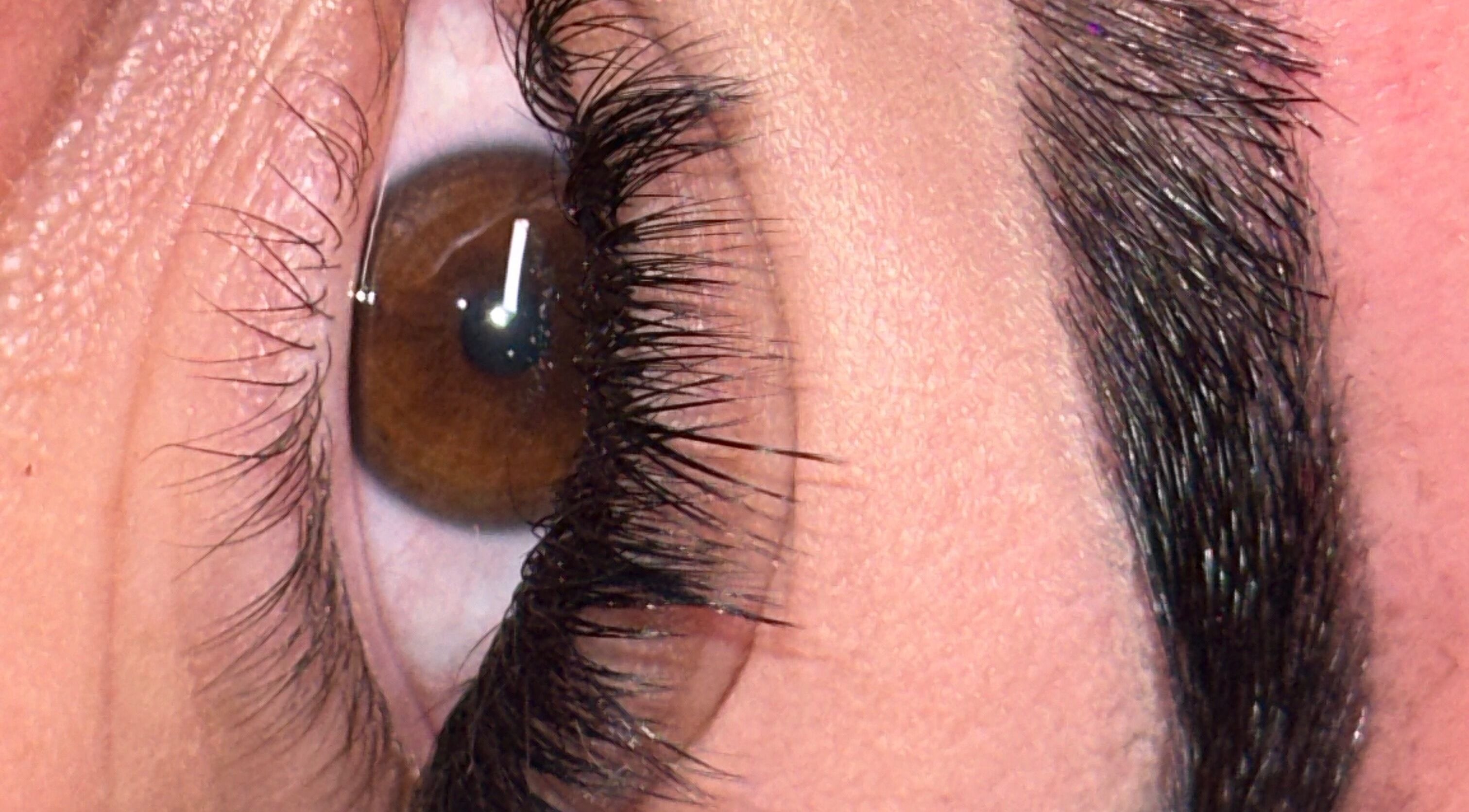 Close-up of expertly groomed eyebrow and lashes at Cheshmak Studio, Nollamara, Western Australia, AU.
