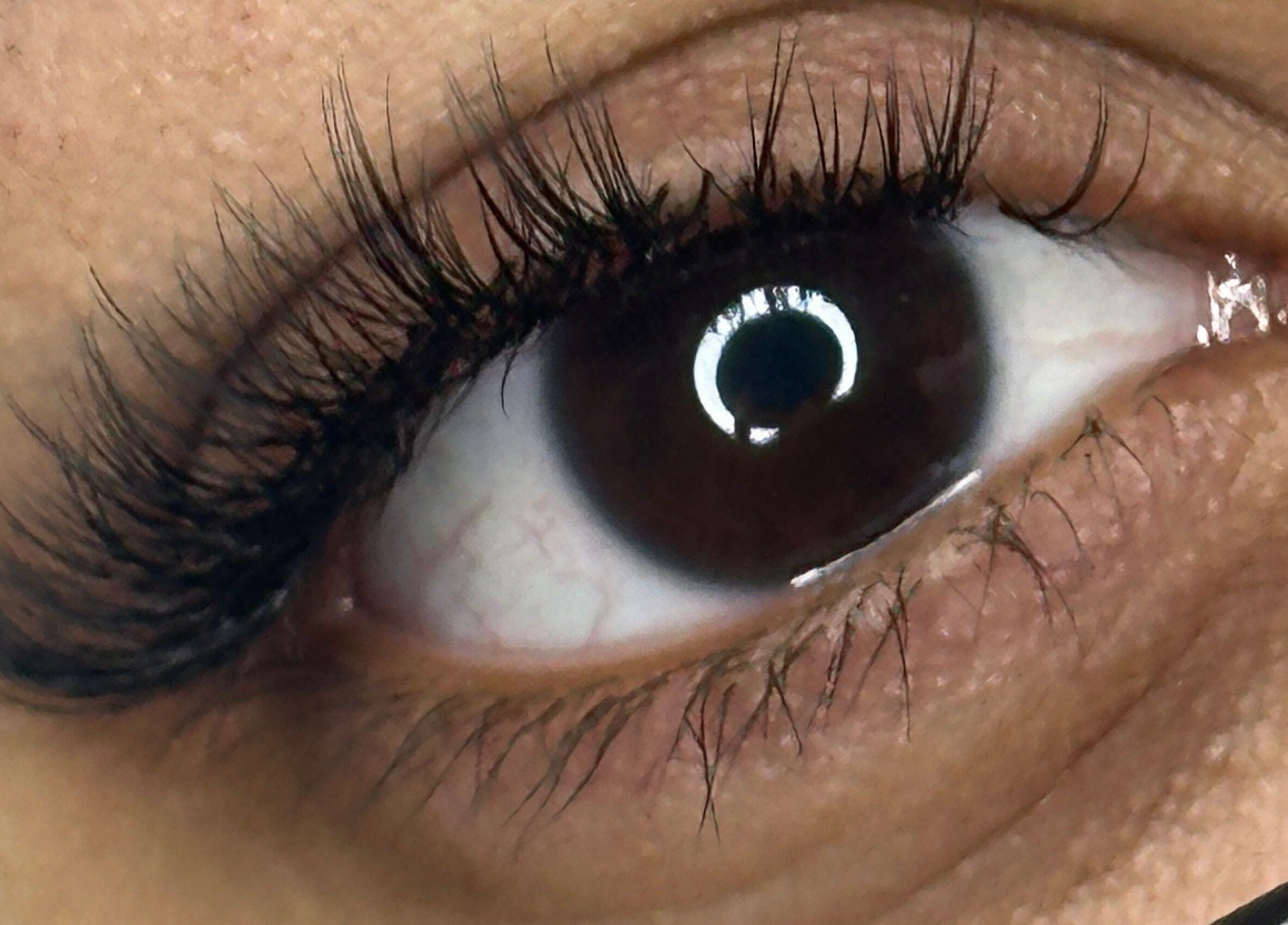 Close-up of eyelash extensions at Cheshmak Studio, Nollamara, Western Australia, AU.