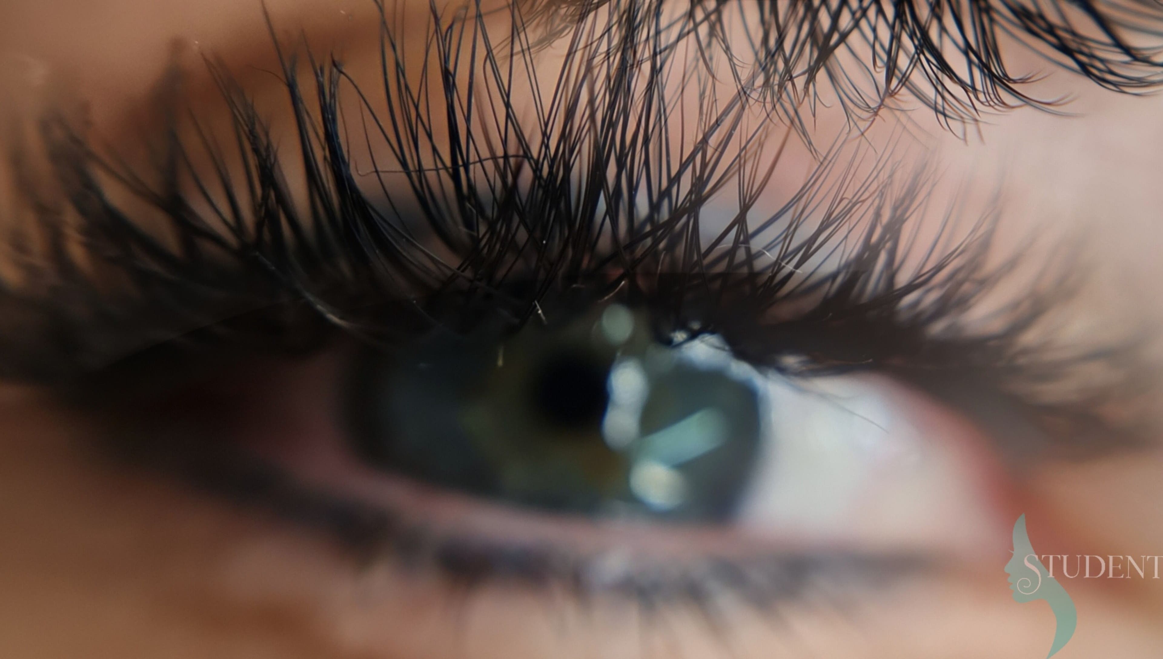 Close-up of beautifully adorned lashes at Trivine PMU, Pretoria, Gauteng, ZA.