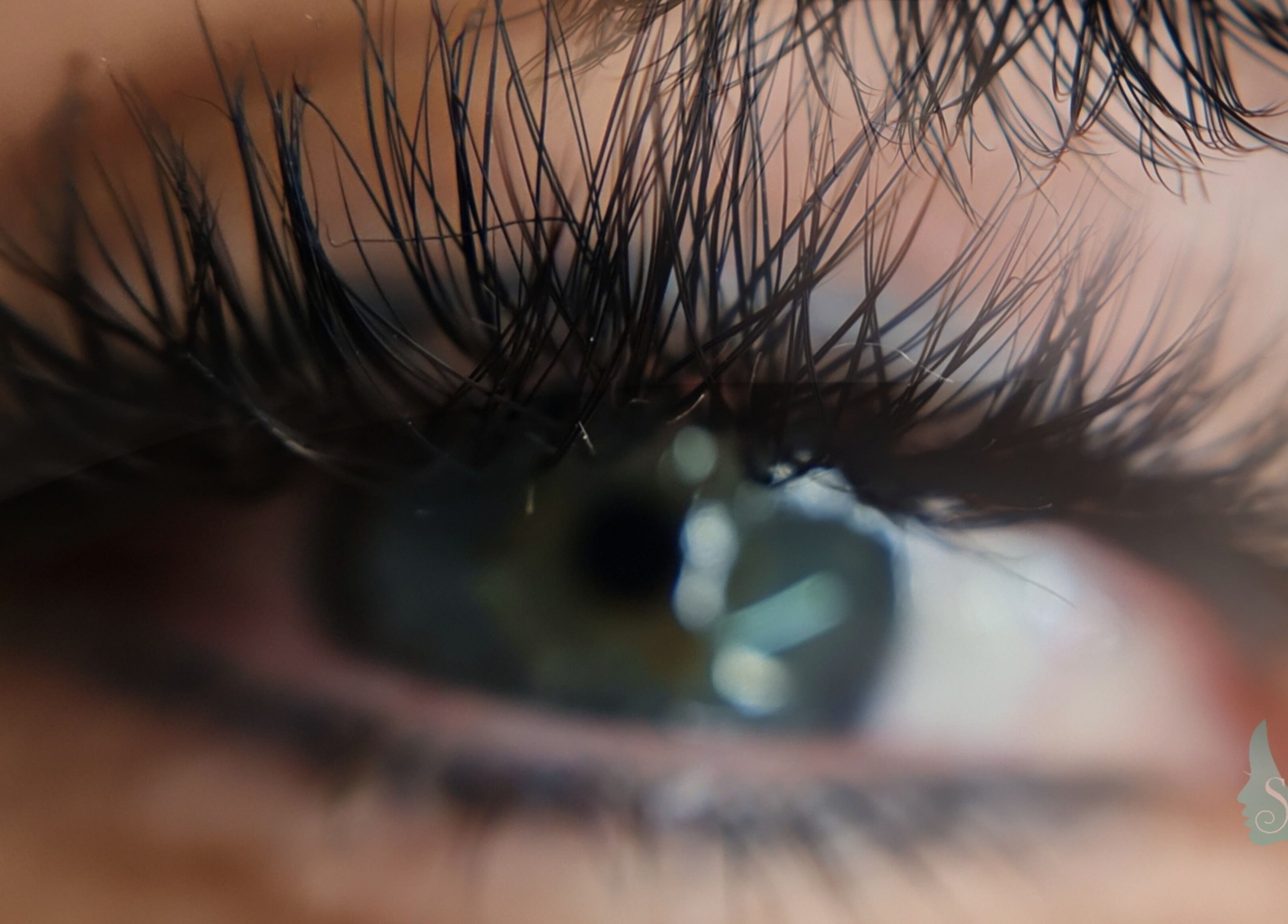 Close-up of beautifully adorned lashes at Trivine PMU, Pretoria, Gauteng, ZA.