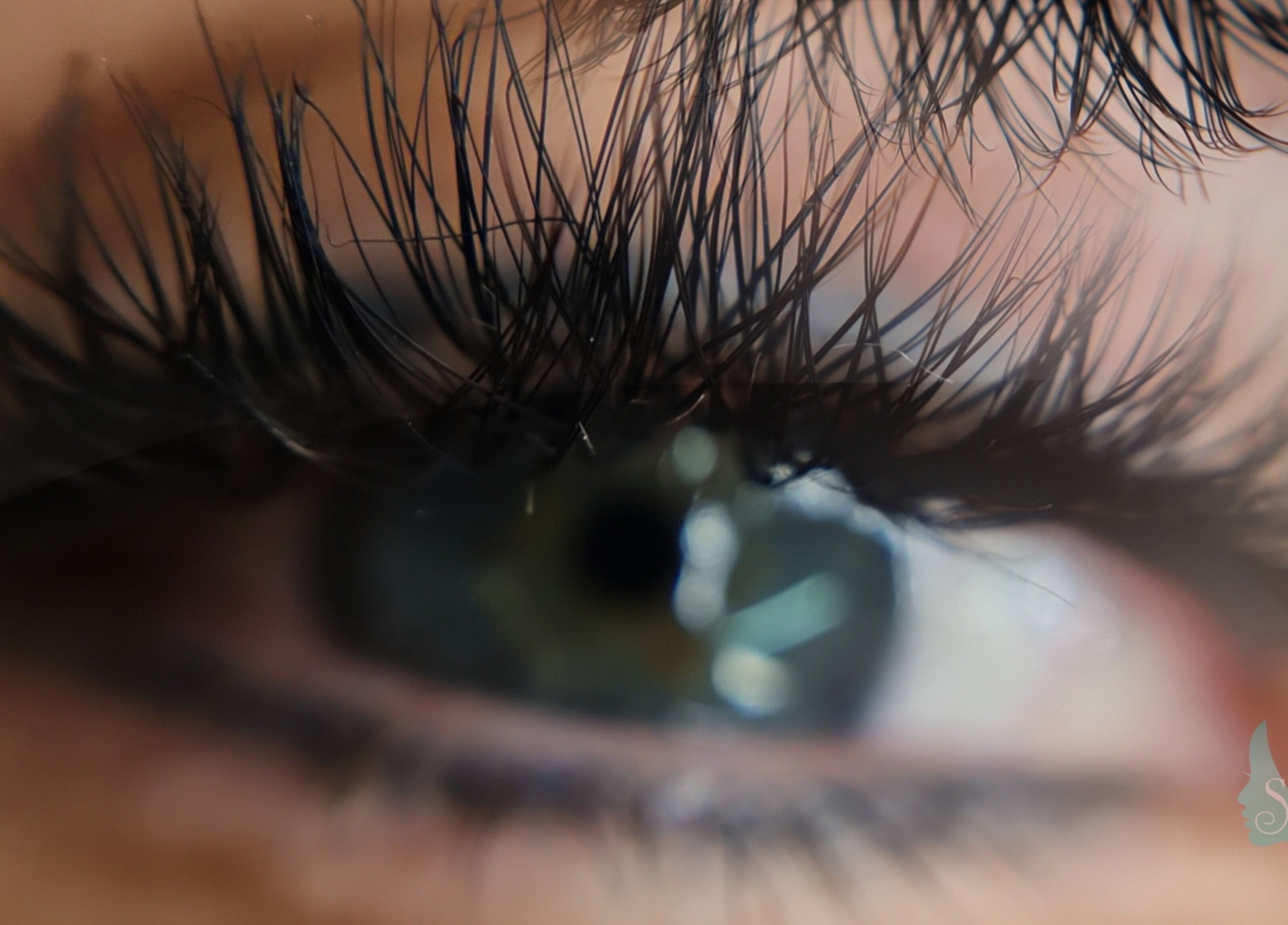 Close-up of beautifully adorned lashes at Trivine PMU, Pretoria, Gauteng, ZA.