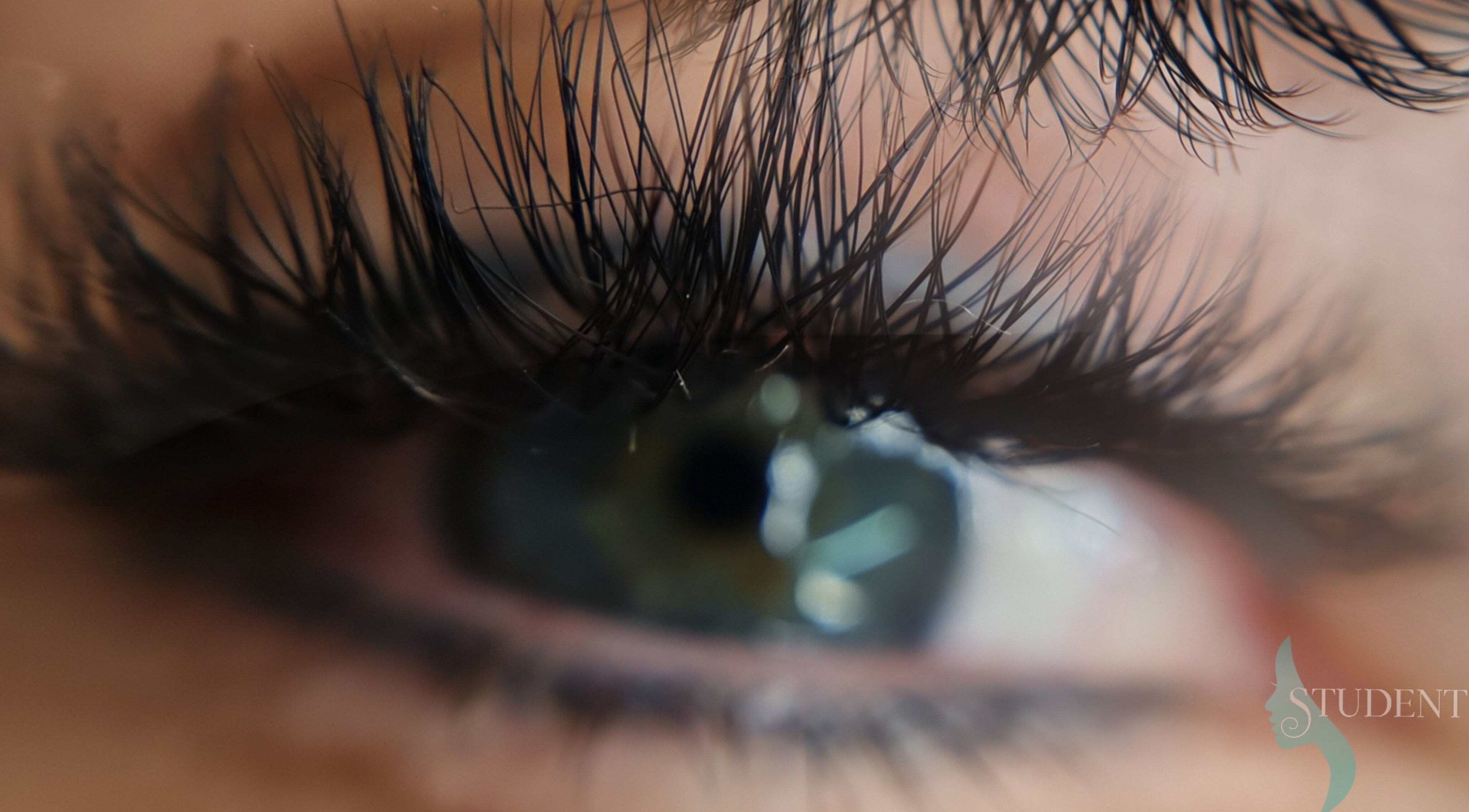 Close-up of beautifully adorned lashes at Trivine PMU, Pretoria, Gauteng, ZA.