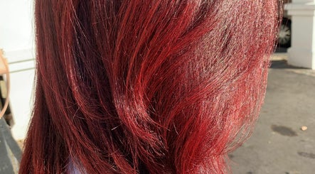 Hair Melodies  image 2