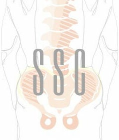 Steward Spinal Care image 2