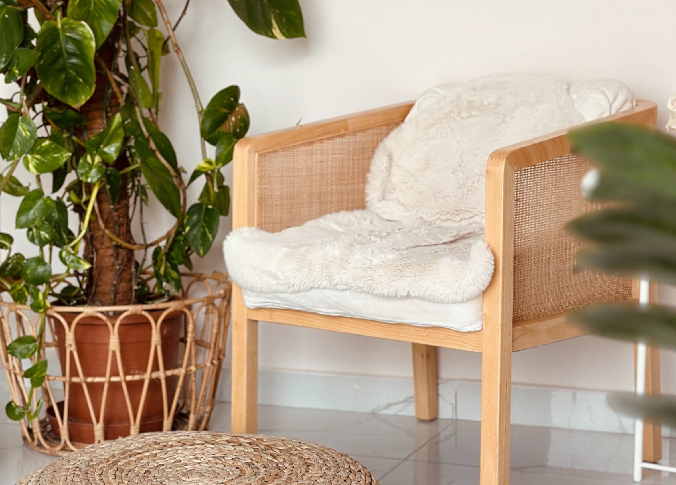 Relaxing chair with plants at Fountain of Youth, Ħal Balzan, MT, offering a peaceful ambiance for rejuvenation.
