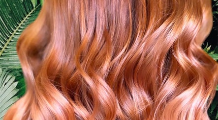 The Hair Master image 2