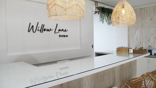 Willow Lane Hair and Beauty
