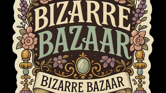 Bizarre Bazaar Bideford