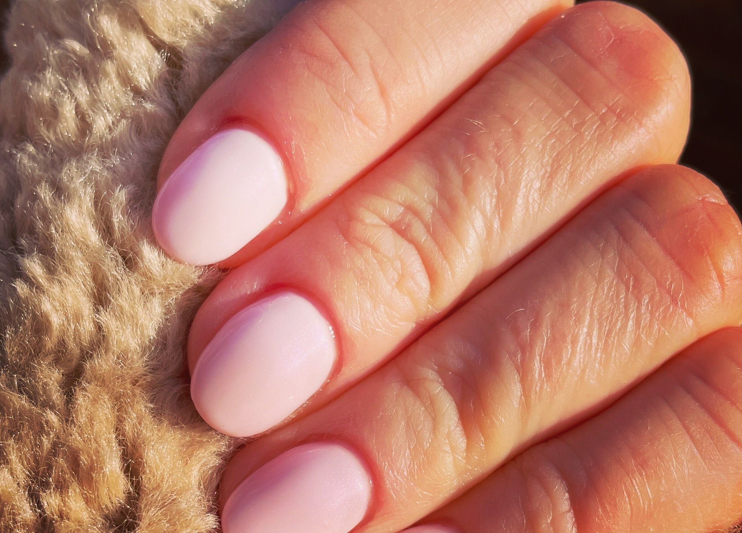 Close-up of pink manicured nails at Fabulash, Stonehouse, England, GB.