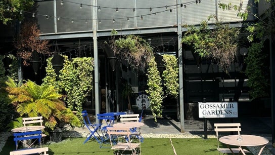 GreenHouse Studio HACKNEY