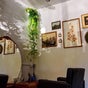 Blaine - Hairstyle Designer - 1489 Newell Avenue, Walnut Creek, California