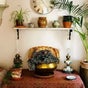 Shass Therapy Massage - The Practice Rooms, Cambray Place, Cheltenham, England