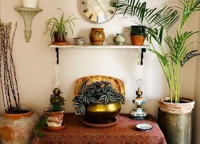 A soothing plant-filled corner at Shass Therapy Massage, Cheltenham, England, GB, creating a tranquil vibe.