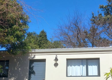 Exterior view of Vanilla Touch Studios - Edgemead Cape Town, surrounded by lush trees in Cape Town, Western Cape, ZA.