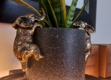Elephant-decorated planter at Vanilla Touch Studios - Edgemead Cape Town, Cape Town, Western Cape, ZA.