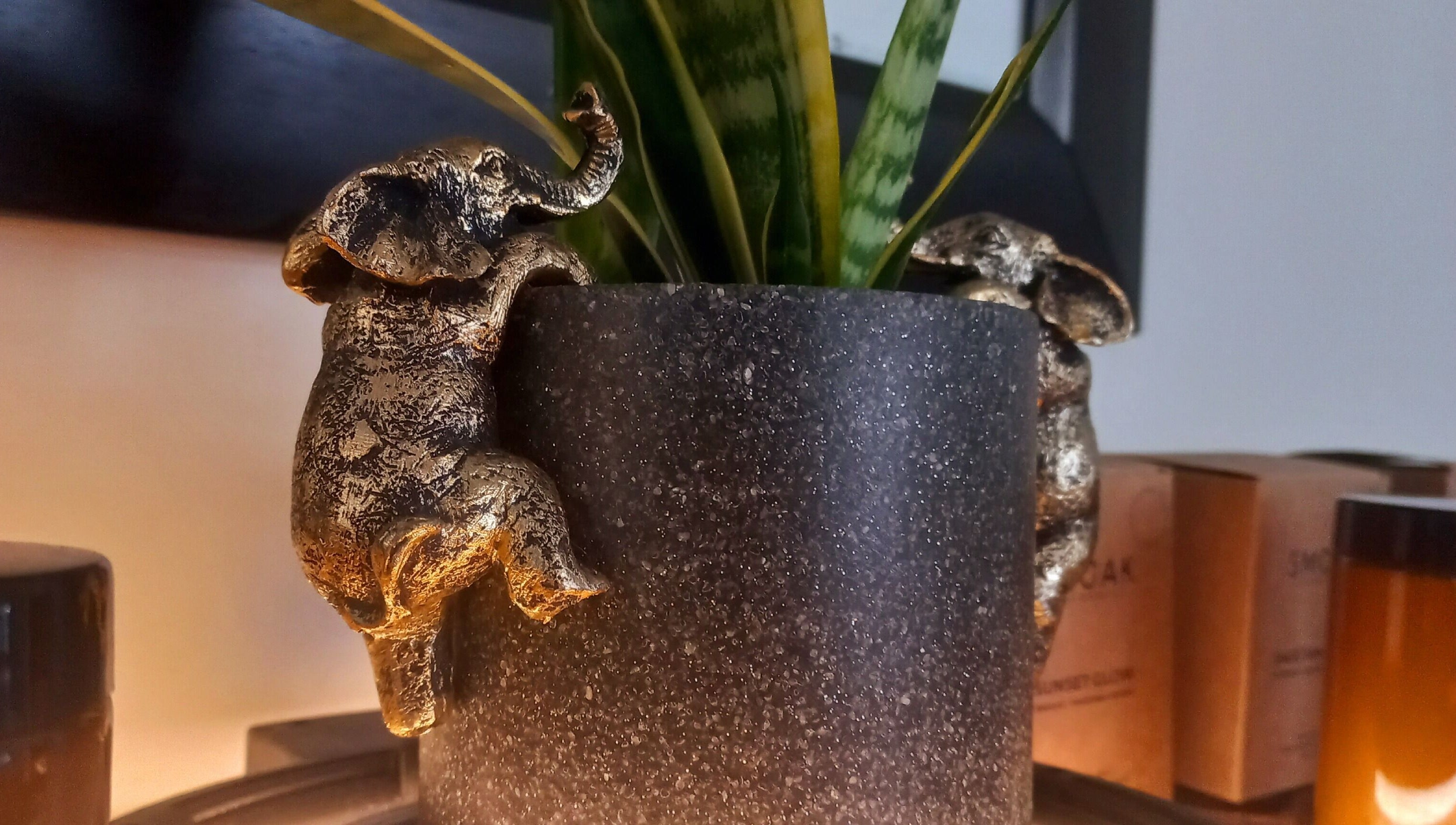 Charming elephant decor on plant pot at Vanilla Touch Studios - Edgemead Cape Town, Western Cape, ZA.