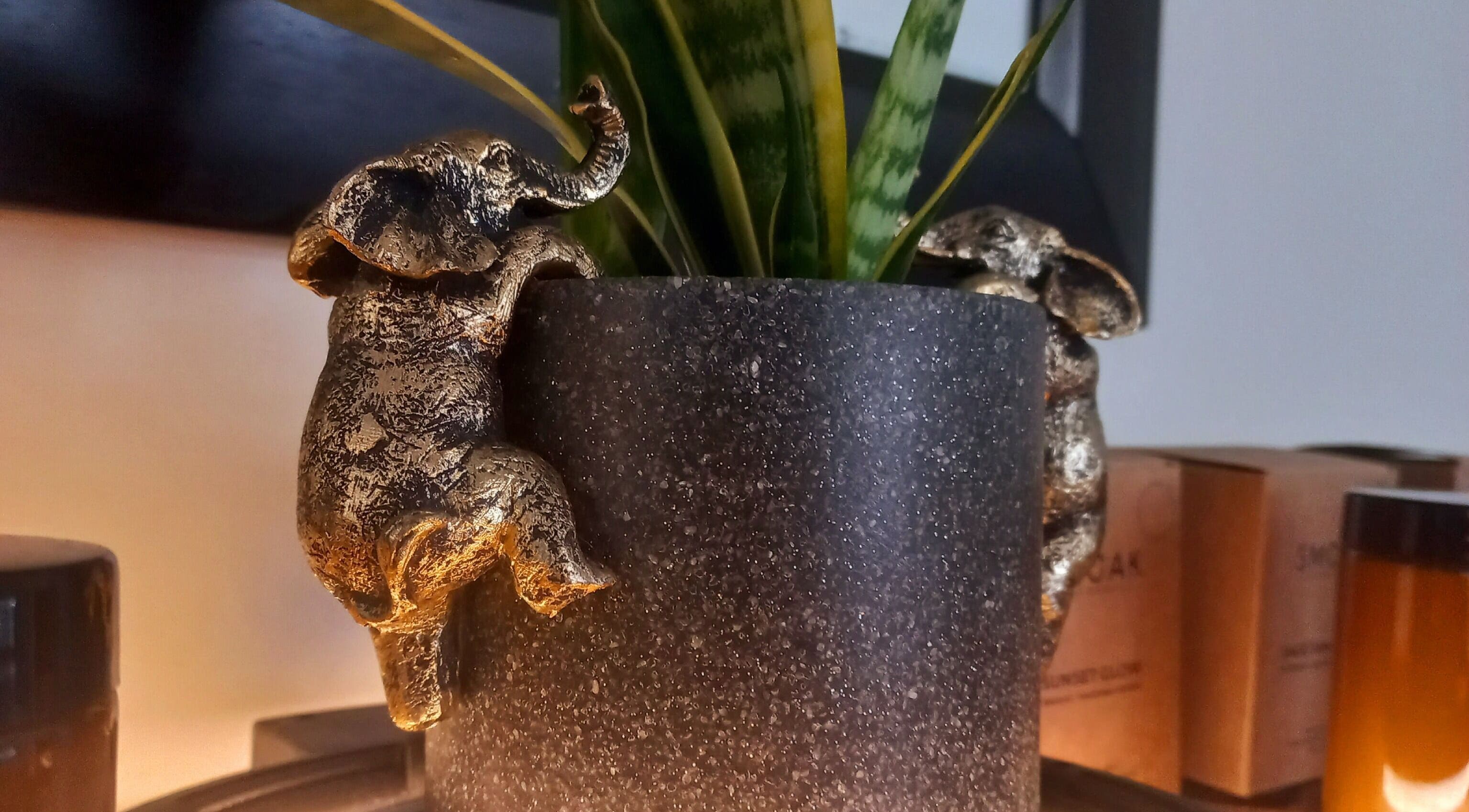 Charming elephant decor on plant pot at Vanilla Touch Studios - Edgemead Cape Town, Western Cape, ZA.