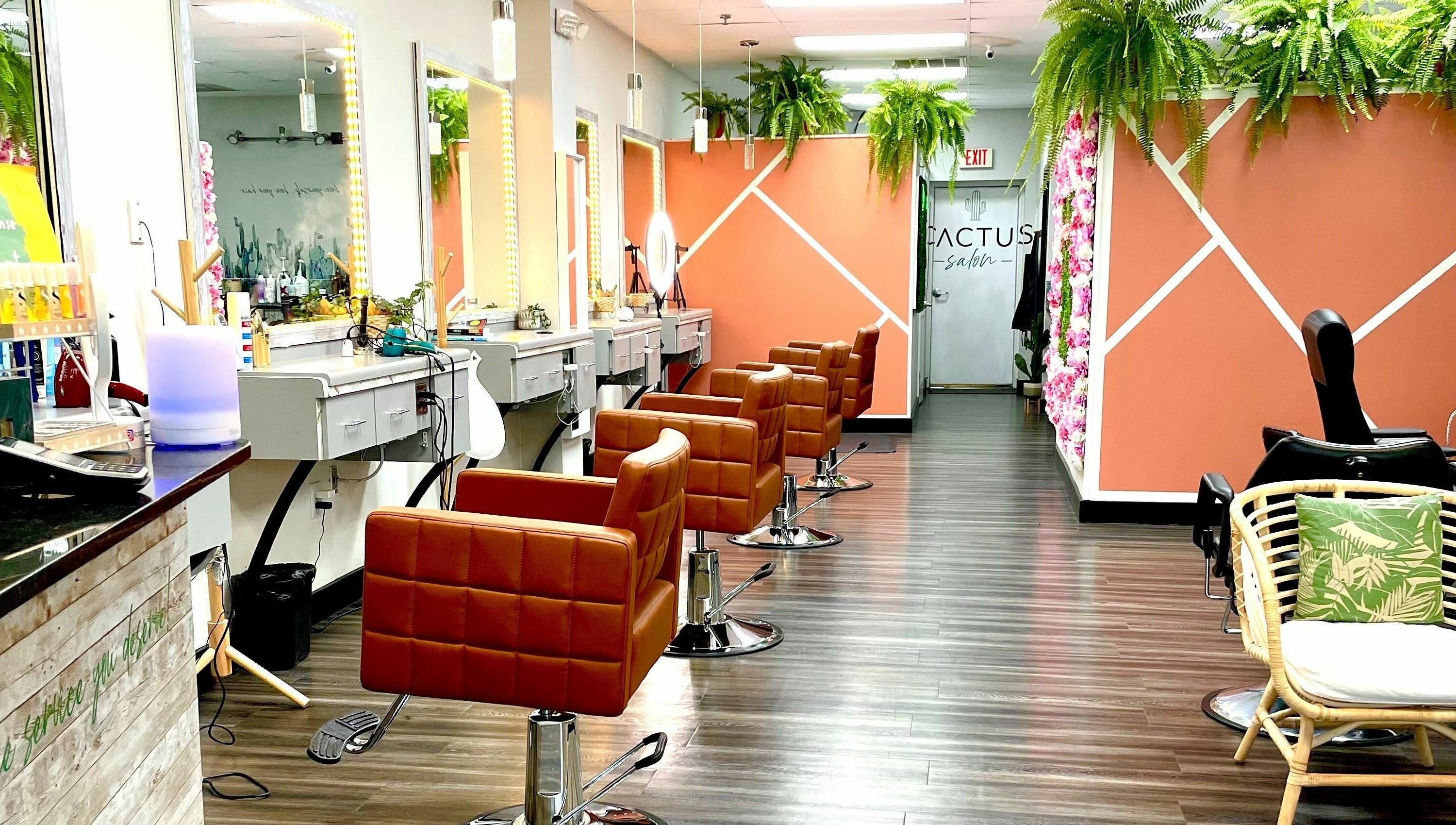 Modern interior of Cactus Salon in Addison, Texas, US with stylish chairs and lush plants.