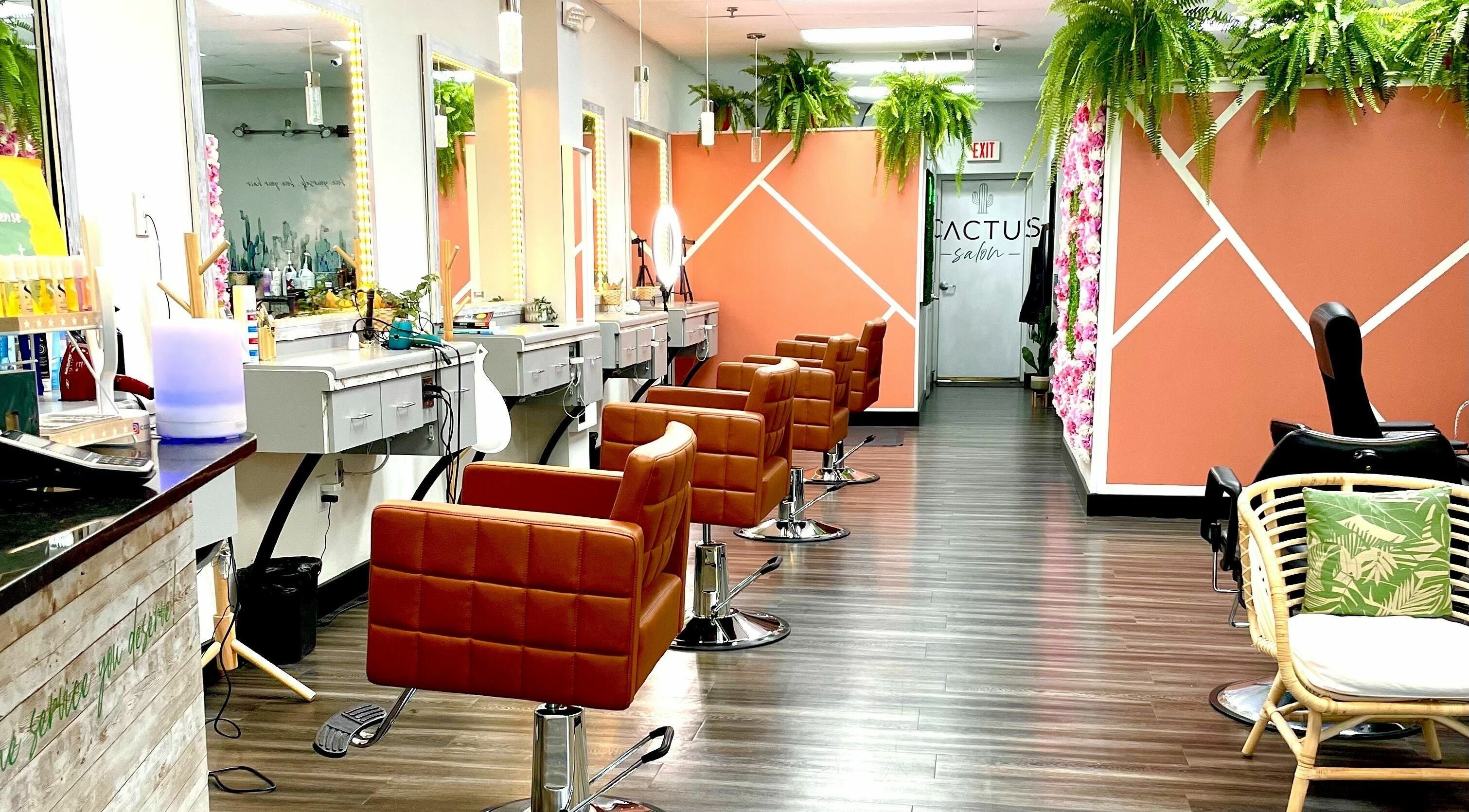 Modern interior of Cactus Salon in Addison, Texas, US with stylish chairs and lush plants.