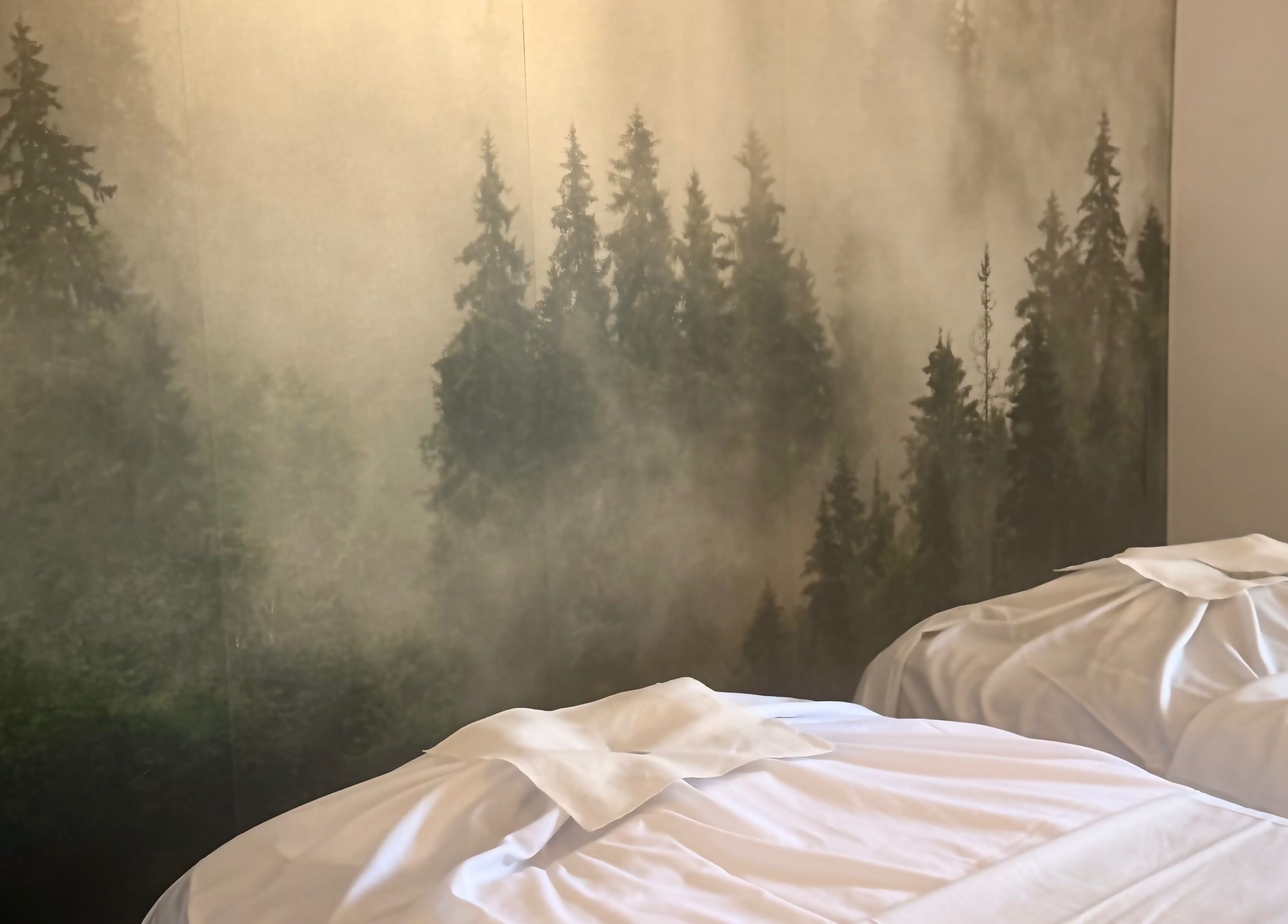 Peaceful massage beds at SIAM WALA Serenity Spa, Torrance, California, US, with tranquil forest backdrop.