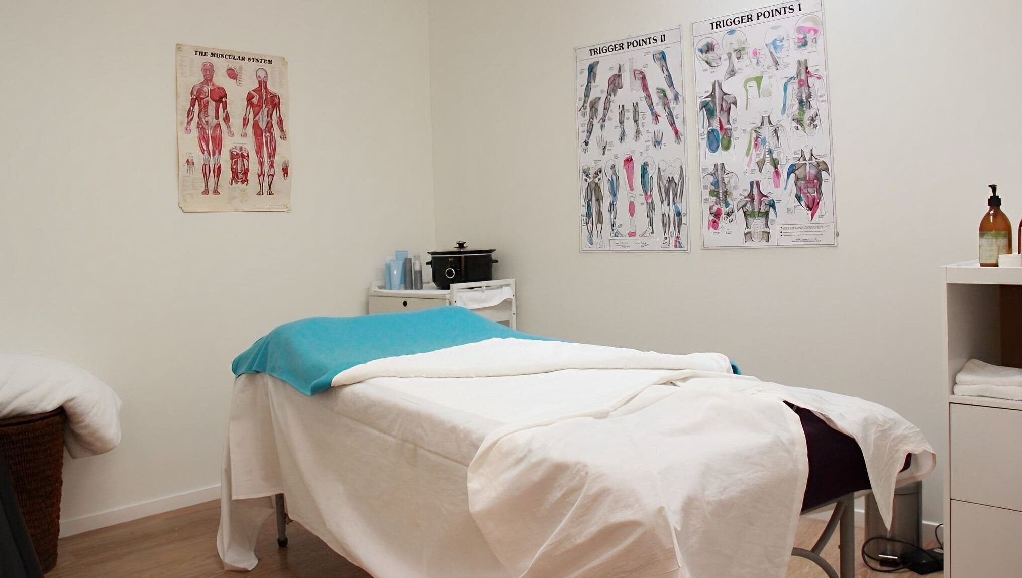 Massage room at The Massage Clinic, Taupo, Waikato, NZ, showcasing a tranquil setting with anatomical charts.