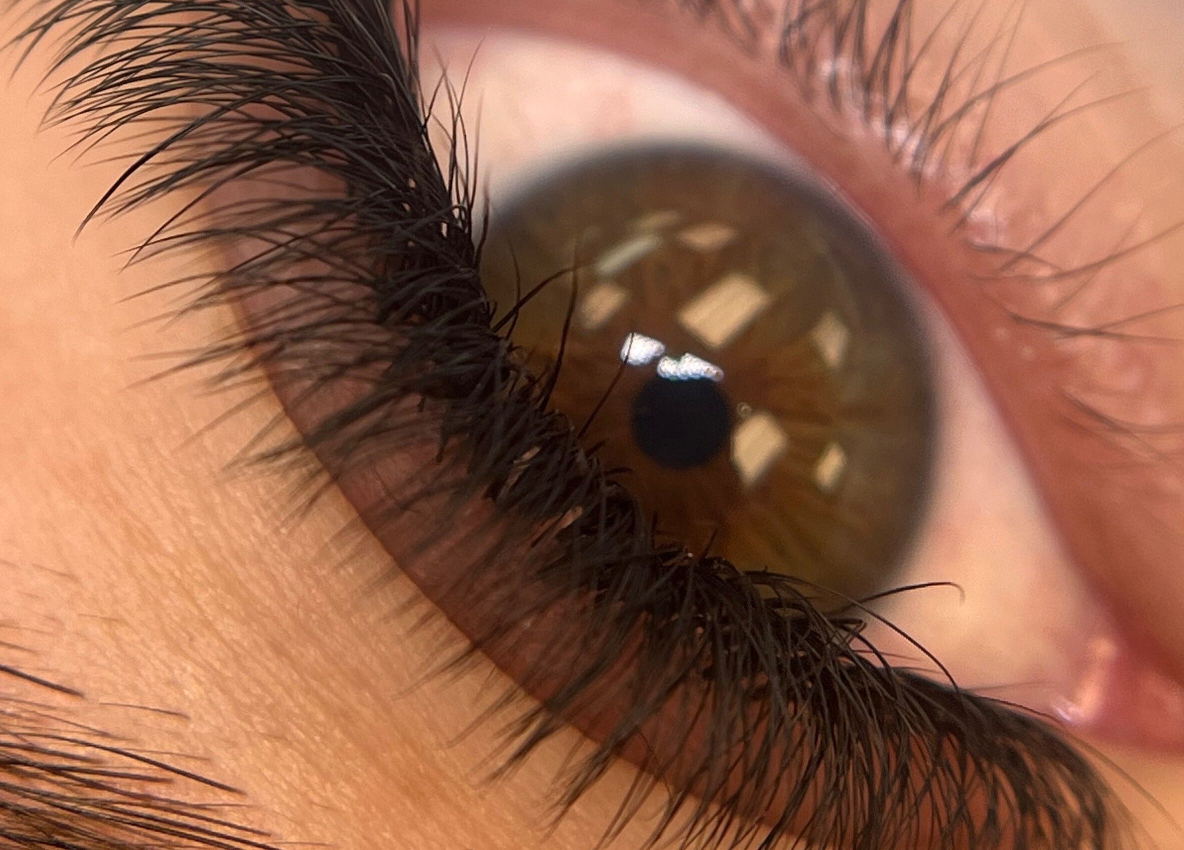 Detalle de pestañas en The Luxe Room, Bayamón, Bayamón, PR, mostrando belleza y precisión.