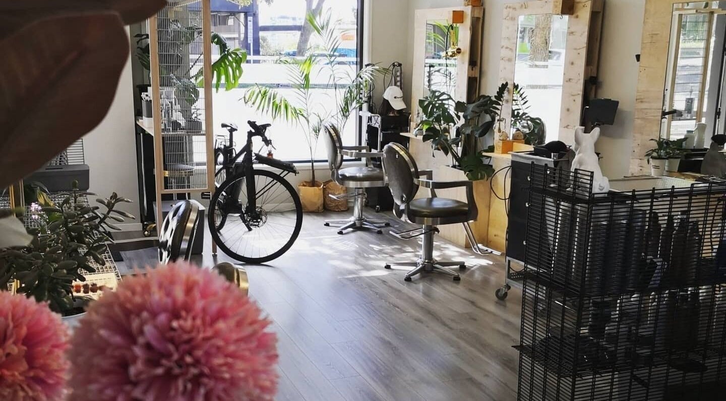 Interior of Gaya Hair and Beauty in Auckland, NZ featuring stylish chairs, mirrors, and plants.