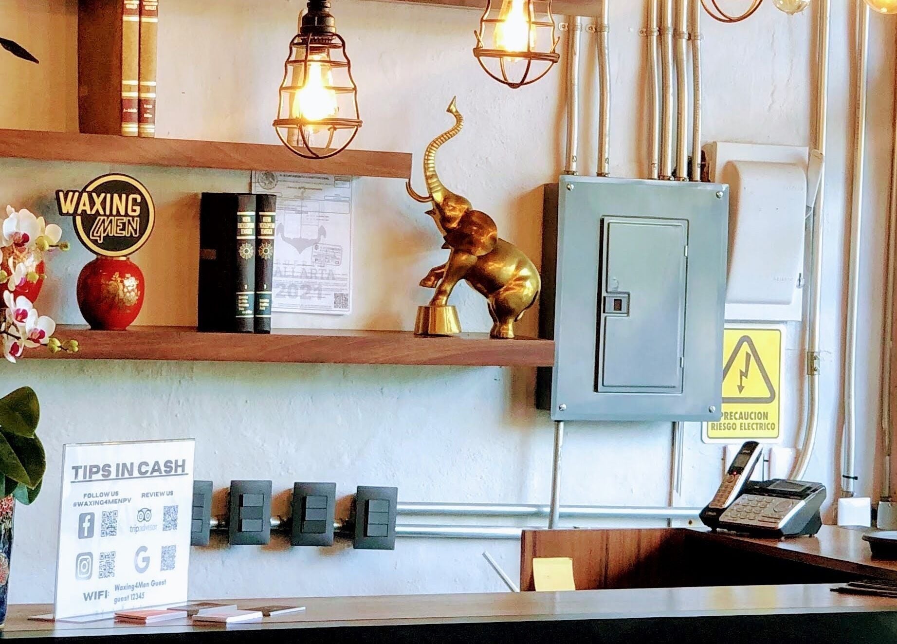 Reception area of Waxing4Men in Puerto Vallarta, Jalisco, MX, featuring decor with books and a golden elephant.